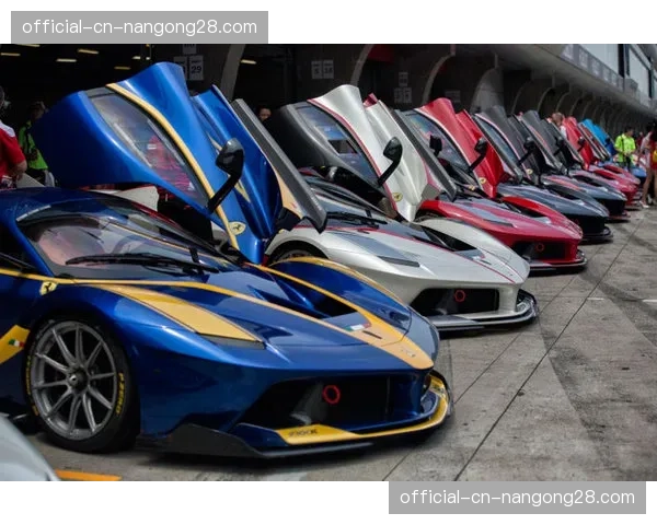 中国站期间，上海国际赛车场外围粉丝嘉年华参与人数创历史新高